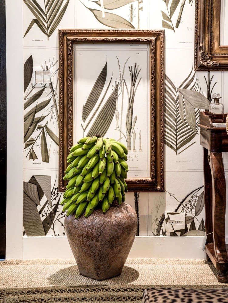 Tecido Botânica Cedro