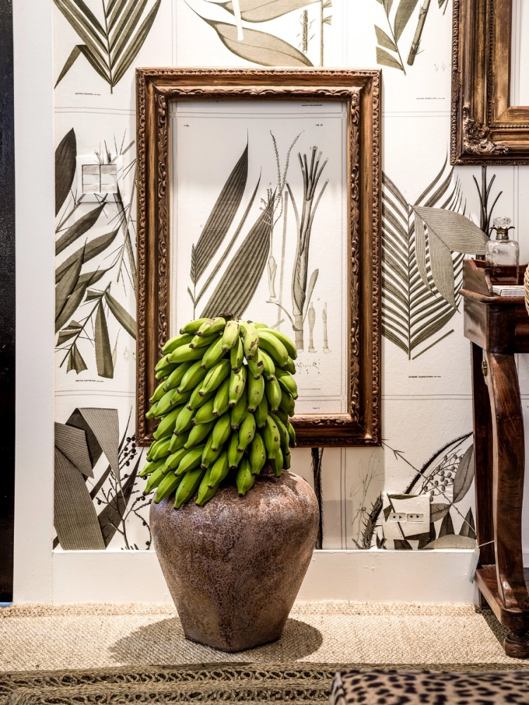 Tecido Botânica Cedro