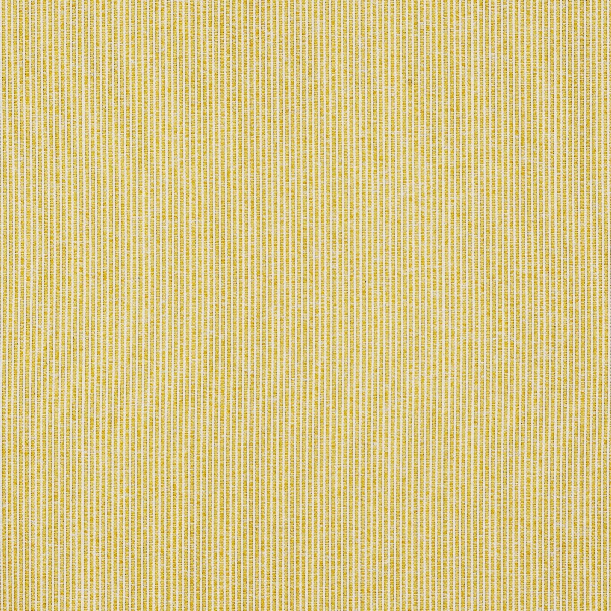 Tecido Lista Fina Cúrcuma - SKU 24404133