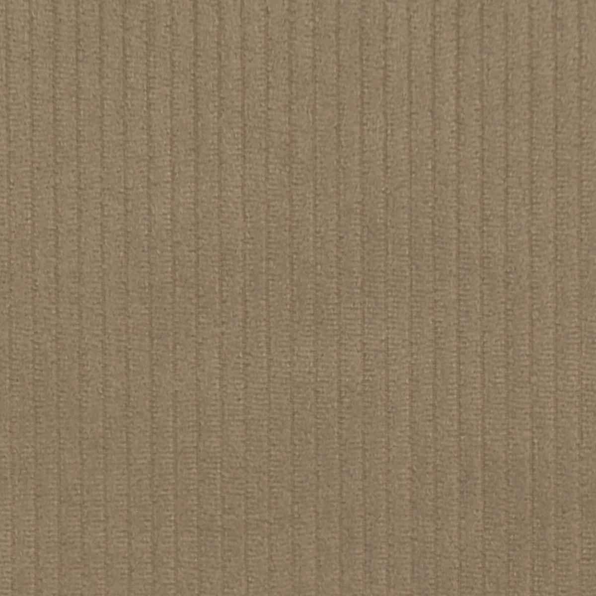 Tecido Veludo Colete Natural - SKU 24402562 Tecido Veludo Colete Natural - SKU 24402562