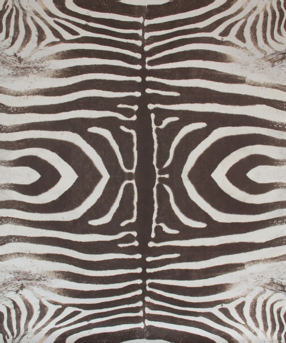 Tecido Zebra Veludo Bone